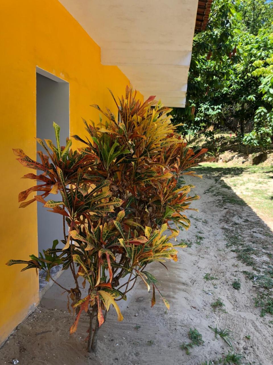 Pousada e Camping América Morro de São Paulo Exterior foto